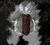 モノコ髪-ダブルバン モノコ髪-ダブルバン