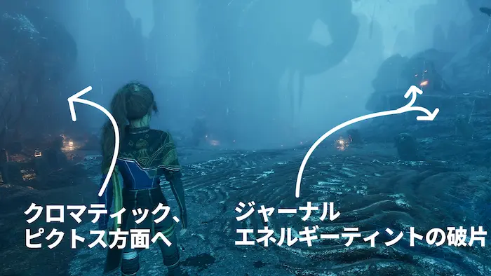 ヴィサージュ-悲しみの谷からの分かれ道 ヴィサージュ-悲しみの谷からの分かれ道