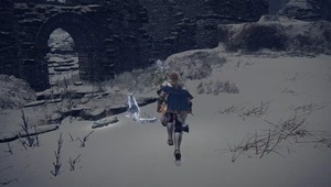 ザミェルの廃墟トビウサギ1